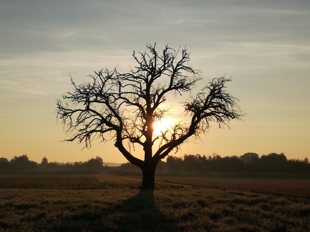 Bild 11_Brigitte Gegenheimer 02