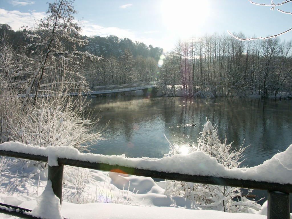 Bild 32_Uta Wettig 01