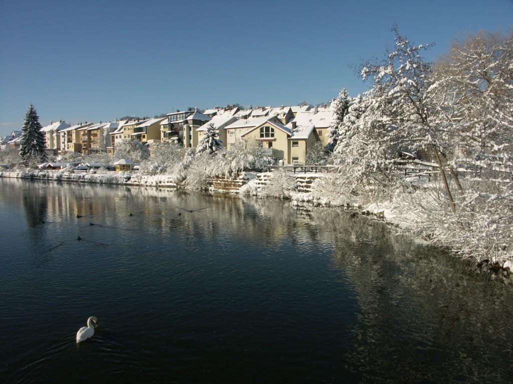 Bild 34_Uta Wettig 02